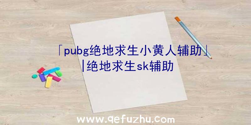 「pubg绝地求生小黄人辅助」|绝地求生sk辅助